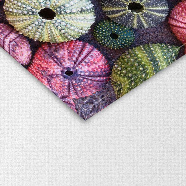 Πίνακας σε καμβά χρωματιστοί αχινοί, Colorful sea urchins