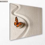Πίνακας σε καμβά πεταλούδα, Zen butterfly II