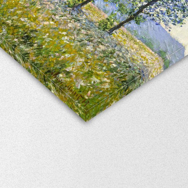 Canvas print Sunlight effect under the poplars, Monet C.