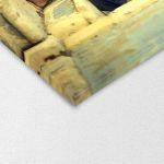 Πίνακας σε καμβά The piper and the cat