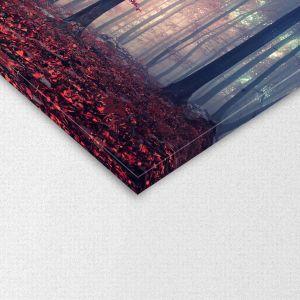 Canvas print Mystic forest Framed canvas View 1 2