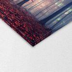 Canvas print Mystic forest