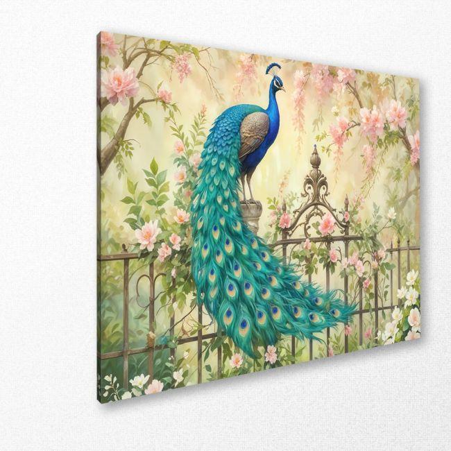 Canvas print The peacock