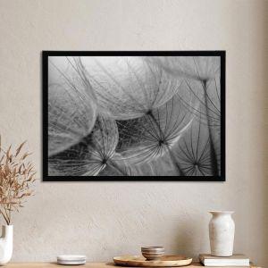 Cotton like dandelions, Poster