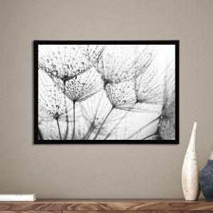 Morning dew dandelions I, αφίσα, κάδρο