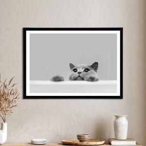 Let's play please αφίσα κάδρο  Αφίσα πόστερ με μαύρη κορνίζα