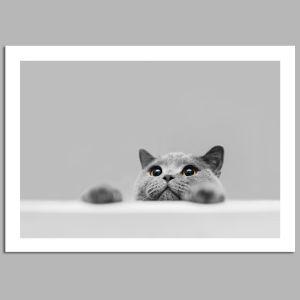 Galloping horse, poster 2