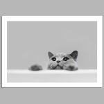 Let's play please αφίσα κάδρο  Αφίσα