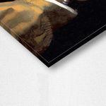 Πίνακας ζωγραφικής Protopunk, Κορίτσι με το μαργαριταρένιο σκουλαρίκι, (Original Vermeer J)