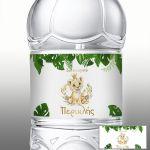 Sticker label Smiley lion with crown