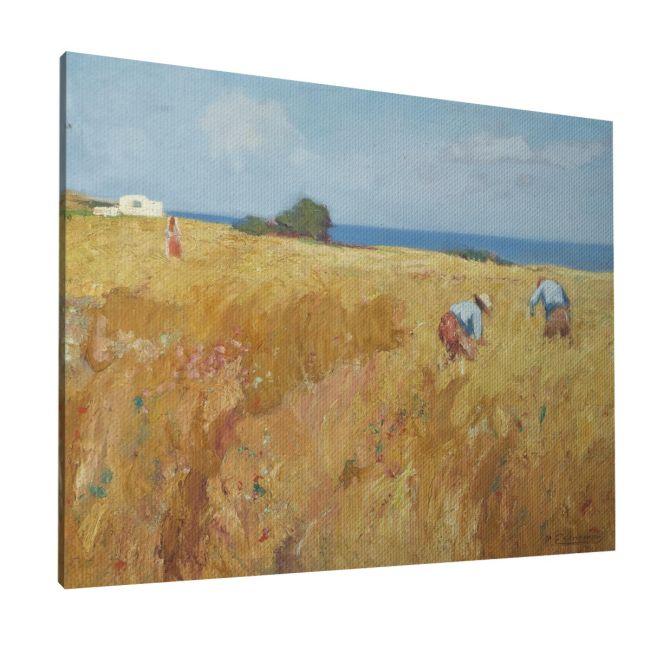 Canvas print At field, Oikonomou