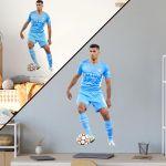 Αυτοκόλλητο τοίχου,Ροντρίγκο Ερνάντεθ