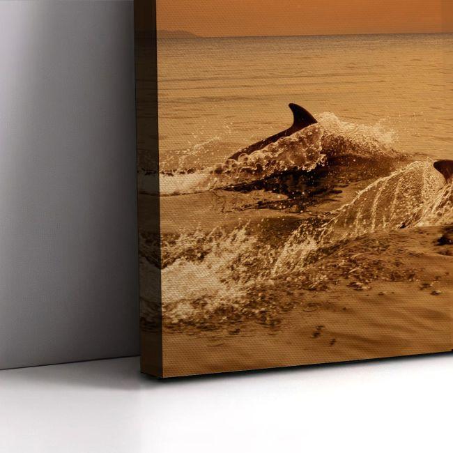 Canvas print Dolphins at sunset
