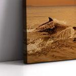 Canvas print Dolphins at sunset