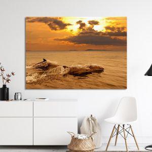 Canvas print Dolphins at sunset