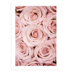 Bouquet Pink roses, poster