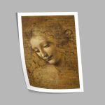  La Scapigliata, Leonardo da Vinci, αφίσα, κάδρο