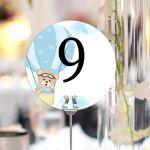 Event table numbers, Hot air Balloon pilot bear boy