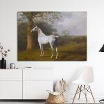 Canvas print Grey horse on the grassland, Agasse 