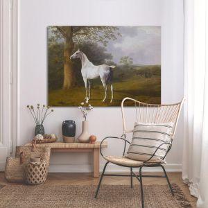 Canvas print Grey horse on the grassland, Agasse  2