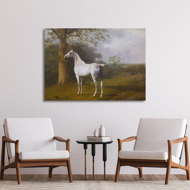 Canvas print Grey horse on the grassland, Agasse 
