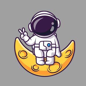 Car sticker Victory 2