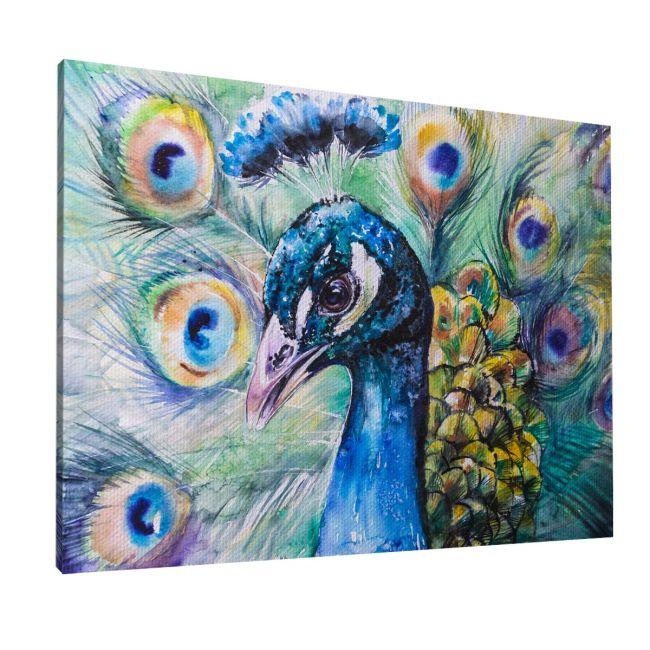 Πίνακας σε καμβά Παγόνι, Portrait of peacock
