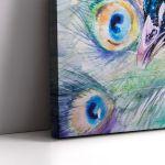 Canvas print Portrait of peacock