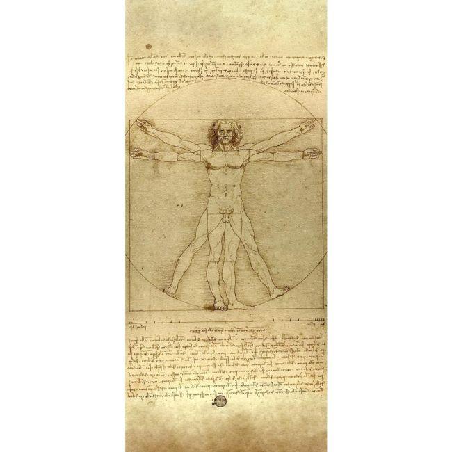Door sticker The Vitruvian man, Leonardo Da Vinci