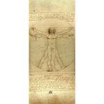 Αυτοκόλλητο πόρτας The Vitruvian man, Leonardo Da Vinci,αυτοκόλλητο πόρτας