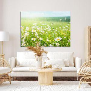 Canvas print Field of daisy flowers Framed canvas View 1 2