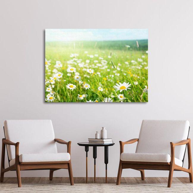 Πίνακας σε καμβά Μαργαρίτες, Field of daisy flowers