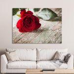 Canvas print Rose on wood