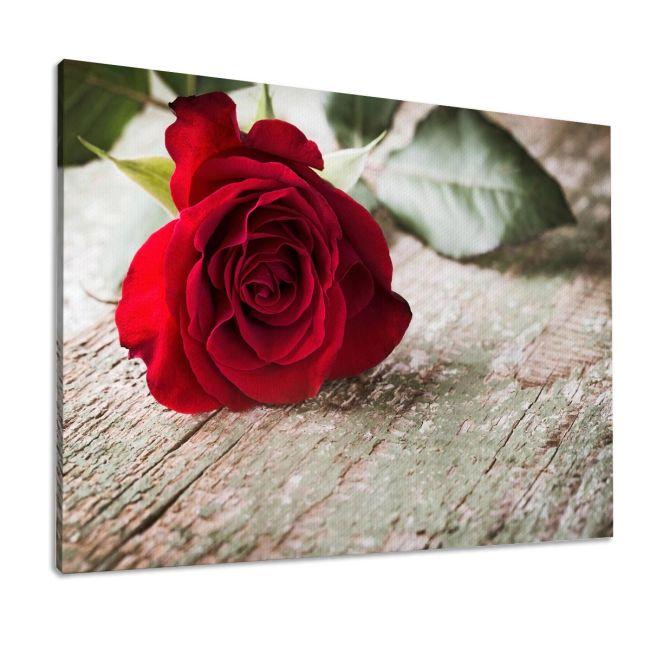 Πίνακας σε καμβά Τριαντάφυλλο, Rose on wood
