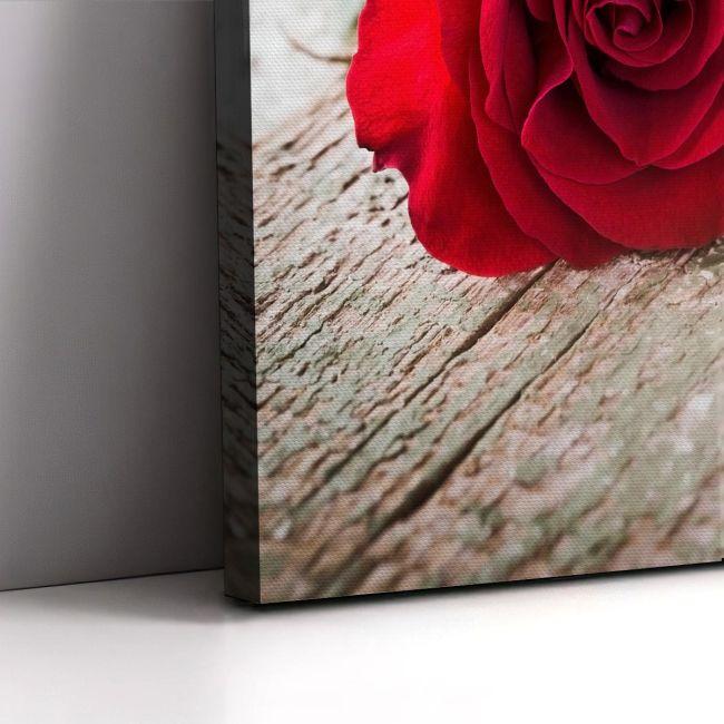 Πίνακας σε καμβά Τριαντάφυλλο, Rose on wood