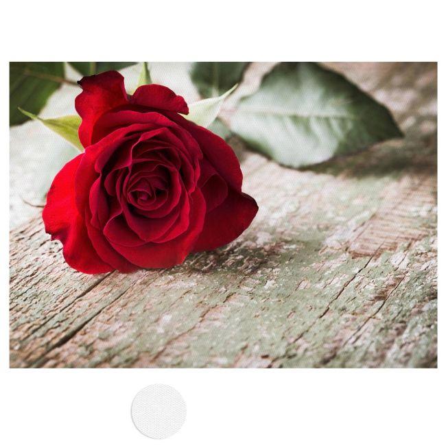 Canvas print Rose on wood