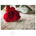 Canvas print Rose on wood