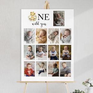 One wild year 12+1photos 1st year collage