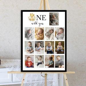 One wild year 12+1photos 1st year collage 2