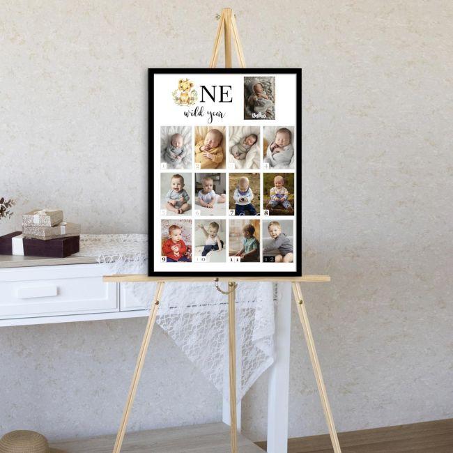 One wild year 12+1photos 1st year collage