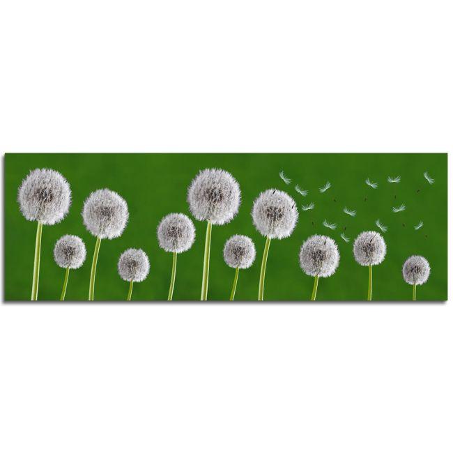 Πίνακας σε καμβά Dandelions, πανοραμικός