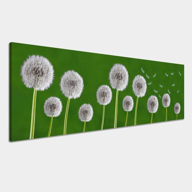 Canvas print Dandelions, panoramic
