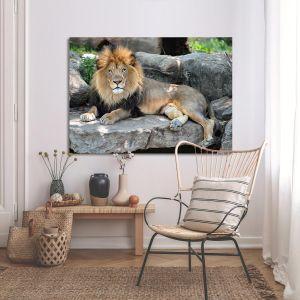 Canvas print lion, Lion 2