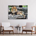 Canvas print lion, Lion