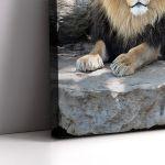 Canvas print lion, Lion