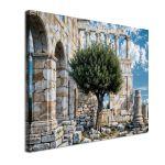 Canvas print Olive tree with ancient ruins in the background, horizontal