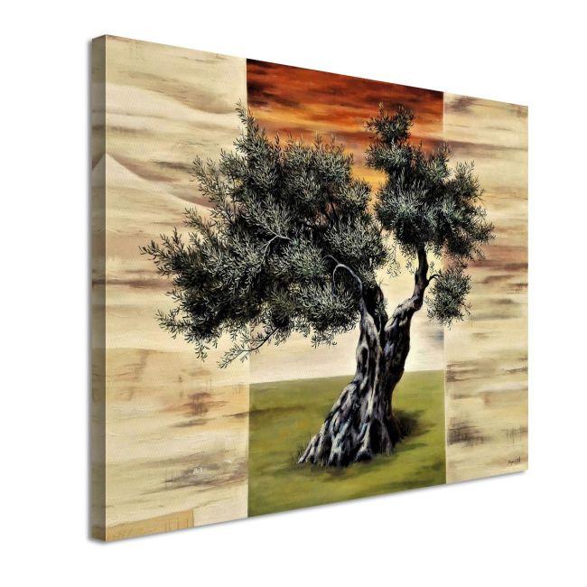 Canvas print Olive tree on a triptych background
