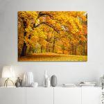 Canvas printForest scene II