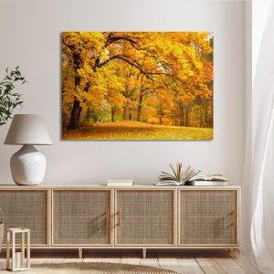 Canvas print  Forest scene II Framed canvas View 1 2