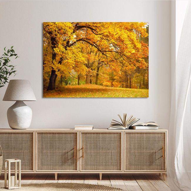 Canvas printForest scene II